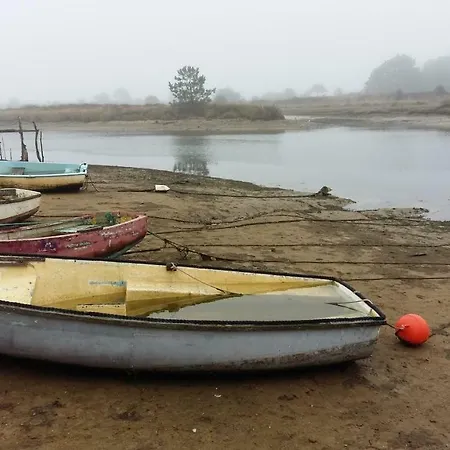 La Libellule Du Marais Brem-Sur-Mer